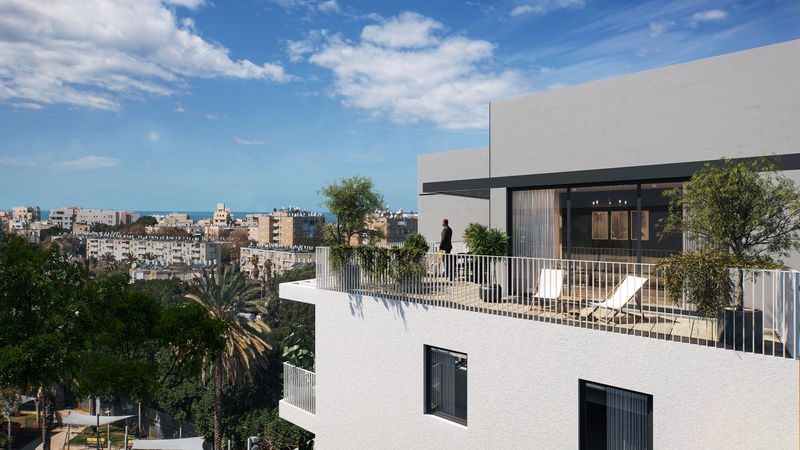 hinanit-c03_0_tree_2_800x450